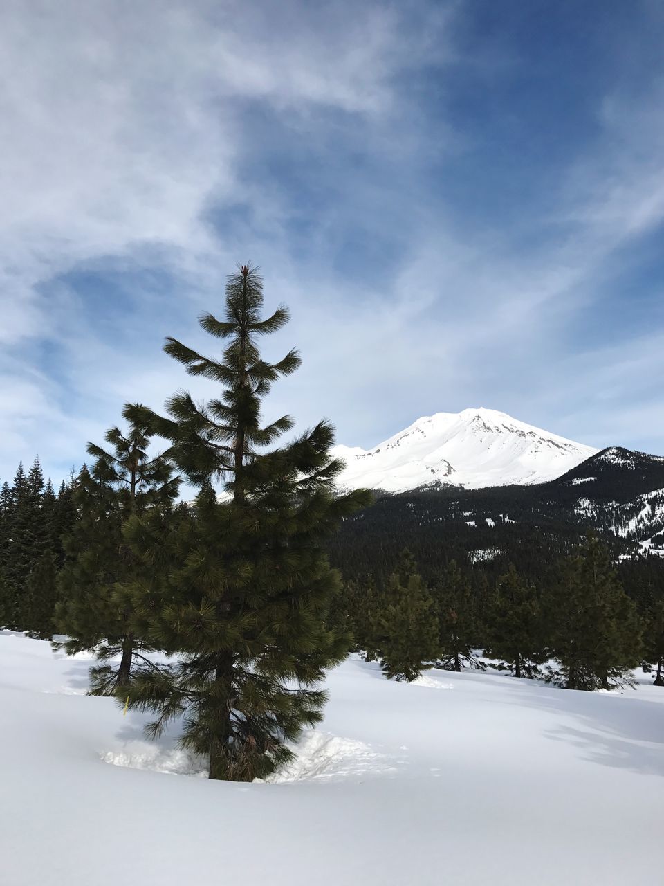 SCENIC VIEW OF TREE MOUNTAINS AGAINST SKY