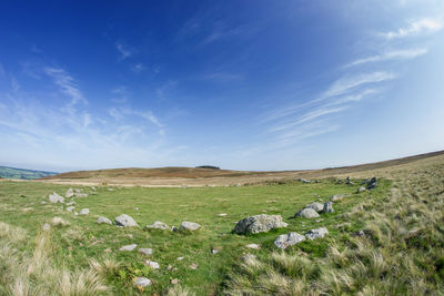 Scenic view of grassy field against sky