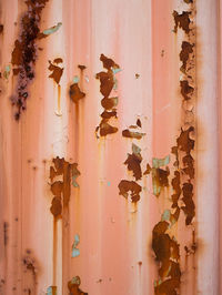 Close-up of rusty metal on wall