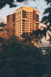 Low angle view of tree by building against sky