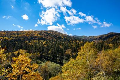 Scenic view of landscape against sky during autumn