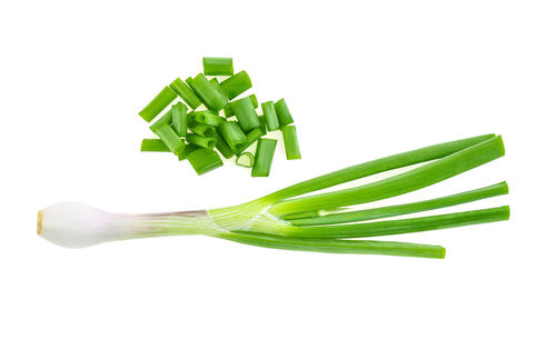 Close-up of green leaf on white background