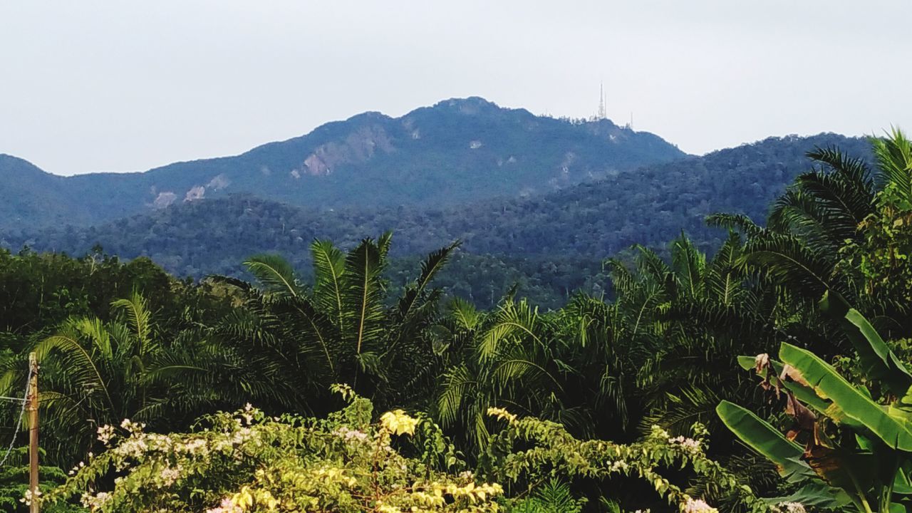 Simpang bekoh