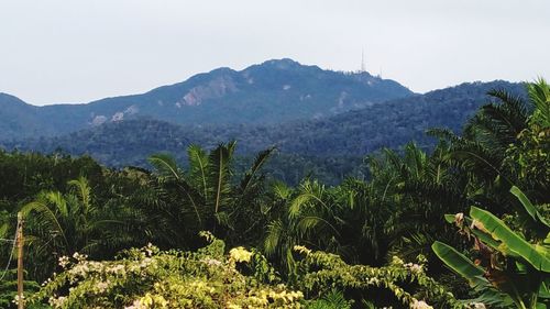 Scenic view of mountains against clear sky