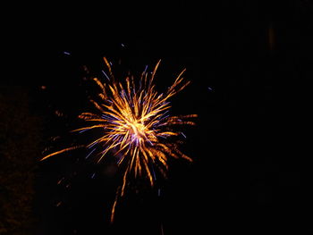 Low angle view of fireworks in sky at night