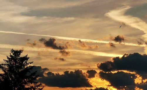 Low angle view of silhouette trees against sky during sunset