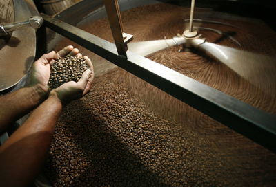 High angle view of hands holding coffee beans in industrial kettle