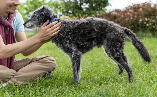 Midsection of woman with dogs on grassy field