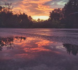 Silhouette of trees at sunset