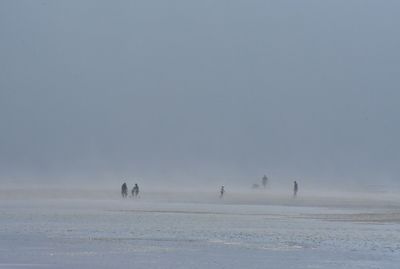 People walking in fog at beach