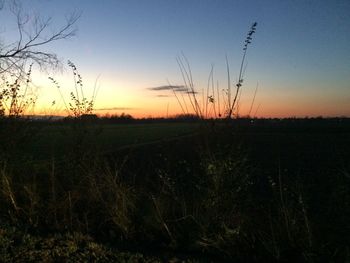 Scenic view of field against sky during sunset