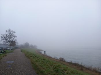fog