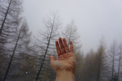 Person hand by trees against sky