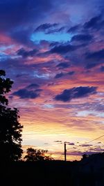 Silhouette of trees at sunset