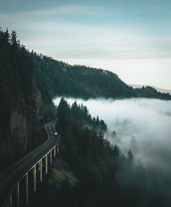 Scenic view of forest against sky