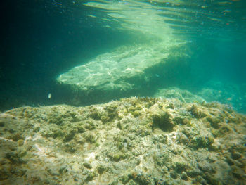 Aerial view of sea