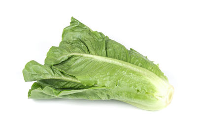 Close-up of green leaf against white background