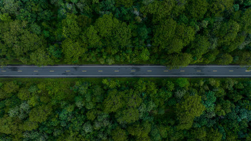 Aerial view over forest road with asphalt road and forest, road in the middle of the forest.