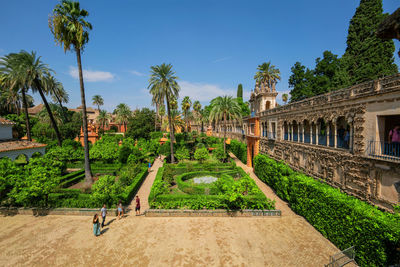 Panoramic shot of palm trees against blue sky