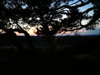 Silhouette trees on landscape against sky at sunset