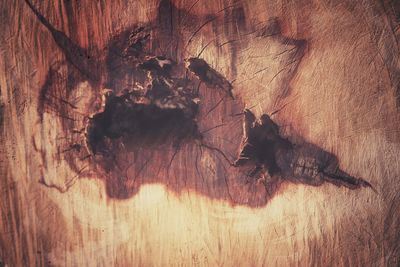 wood