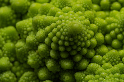 Full frame shot of green chili peppers