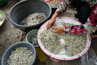 High angle view of woman preparing food or anchovy on bucket or table