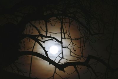 Low angle view of illuminated lamp at night