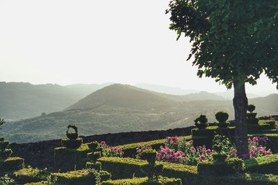 Scenic view of mountains against clear sky