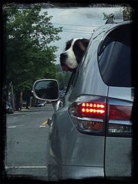transportation