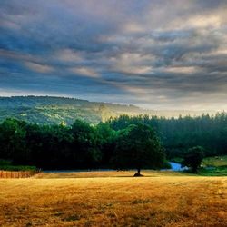 Scenic view of landscape against cloudy sky