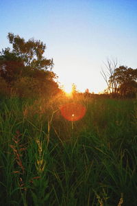 Scenic view of field against sky during sunset