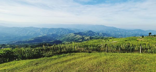 Scenic view of landscape against sky