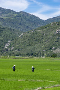 Scenic view of landscape against sky