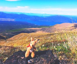 Dog on mountain against sky