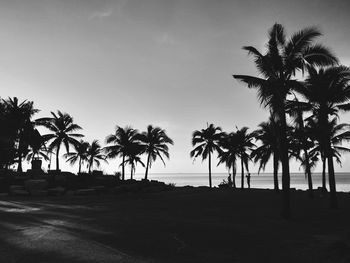 Silhouette palm trees against sky during sunset