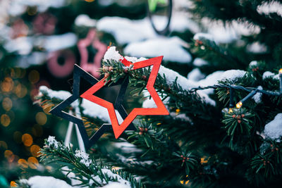 Close-up of star shape christmas decorations hanging on tree