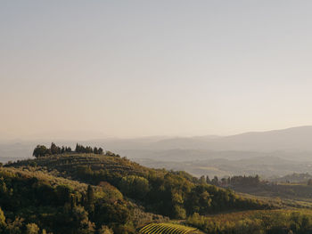 Scenic view of beautiful toscan landscape against clear sky in the morning