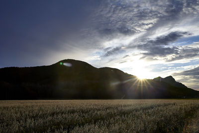 Scenic view of field and mountains against bright sun