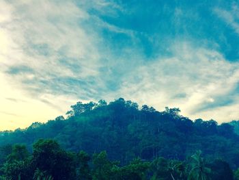 Low angle view of trees against sky