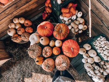 High angle view of pumpkins for sale