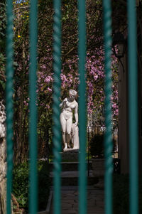 Statue of flower plants against trees