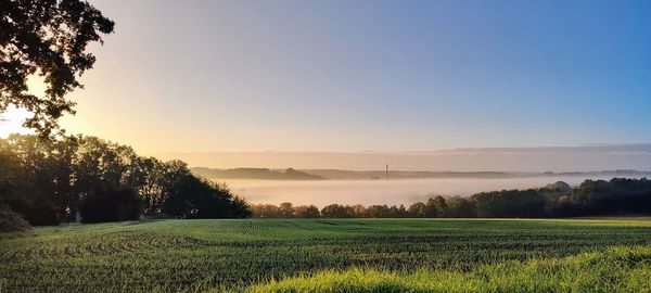 Scenic view of field against sky during sunset