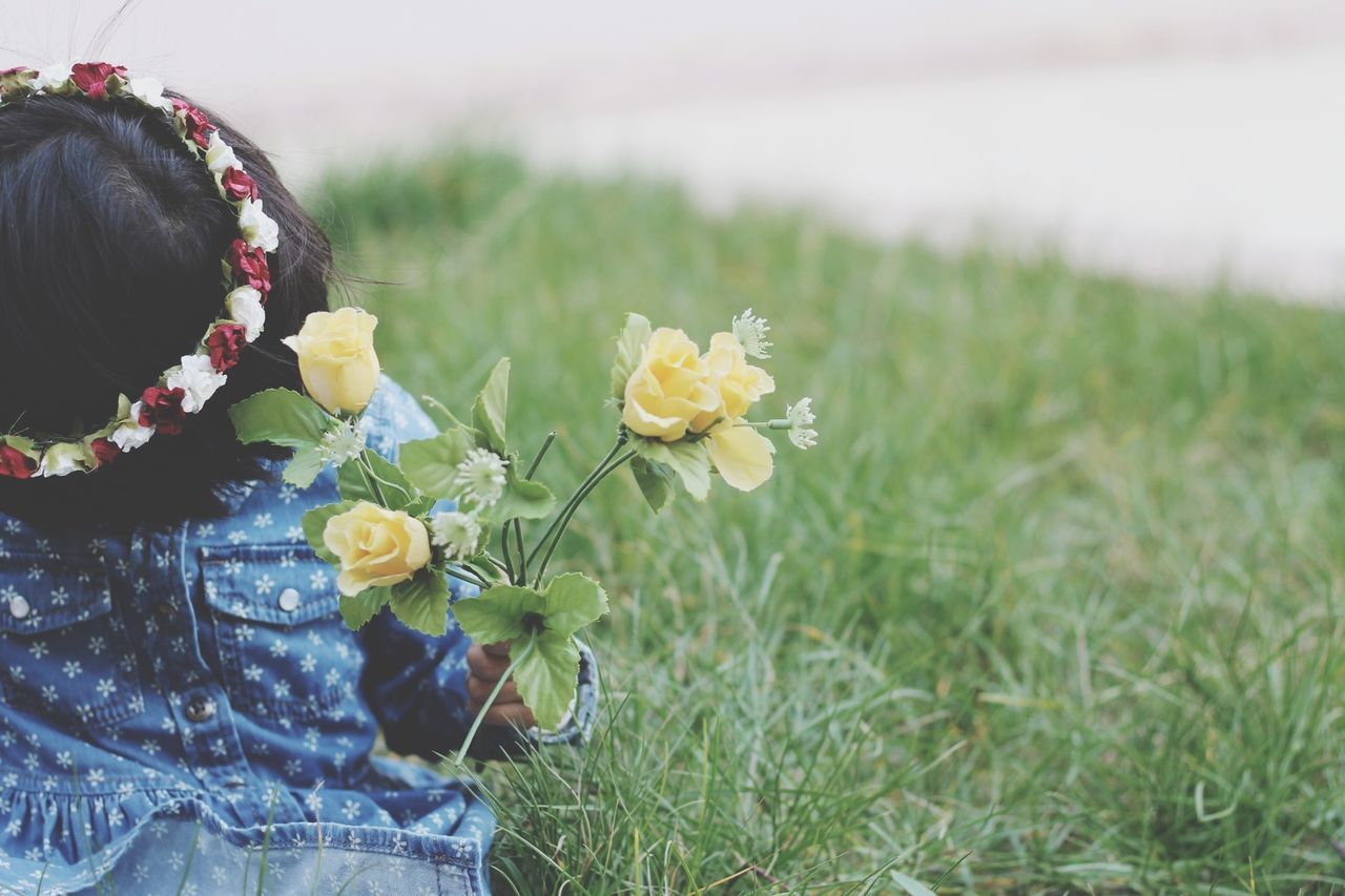 flower, field, fragility, freshness, petal, growth, beauty in nature, grass, plant, nature, flower head, focus on foreground, blooming, close-up, yellow, grassy, day, outdoors, landscape, in bloom