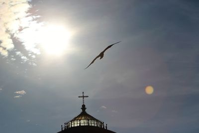 Low angle view of bird flying in sky