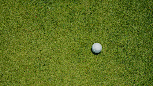 Golf ball is on a green lawn in a beautiful golf course with morning sunshine. 