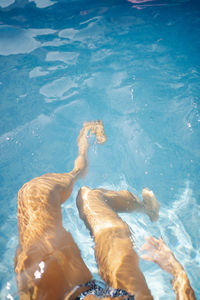 High angle view of people swimming in pool