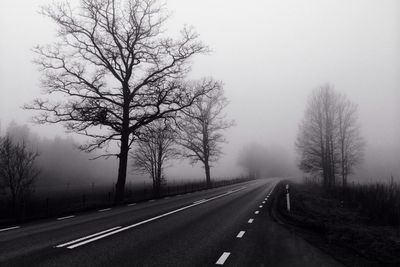 Empty road along trees