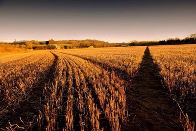 View of rural landscape