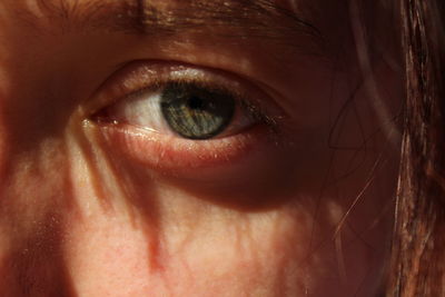 Close-up of human eye